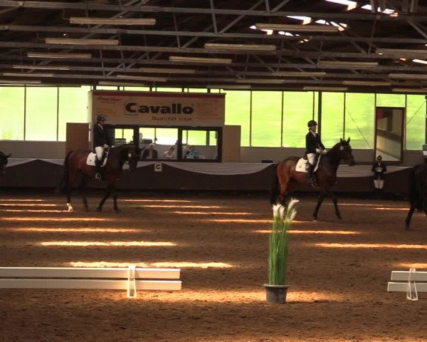 Pfingssturnier Bochum-Nord 2018