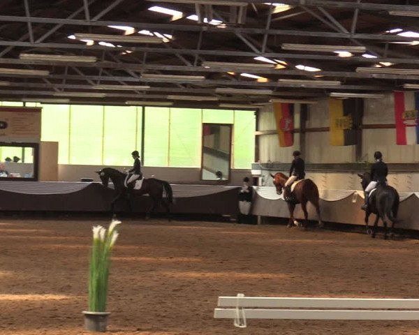 Pfingssturnier Bochum-Nord 2018