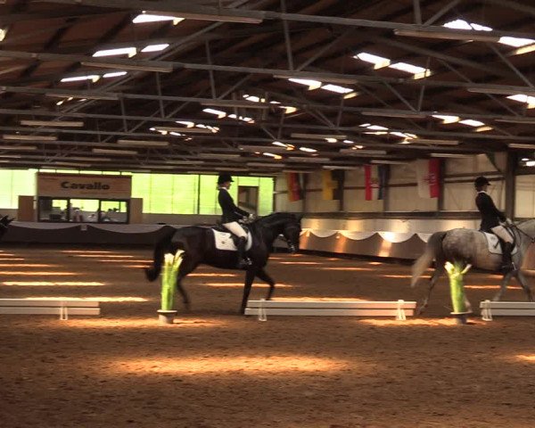 Pfingssturnier Bochum-Nord 2018