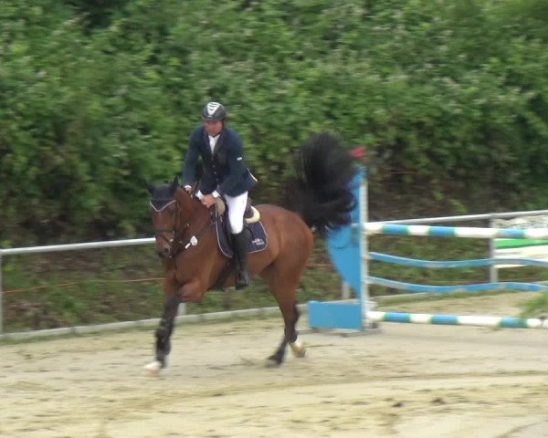 Reitturnier Ladenburg 2018