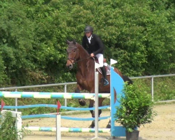 Reitturnier Ladenburg 2018