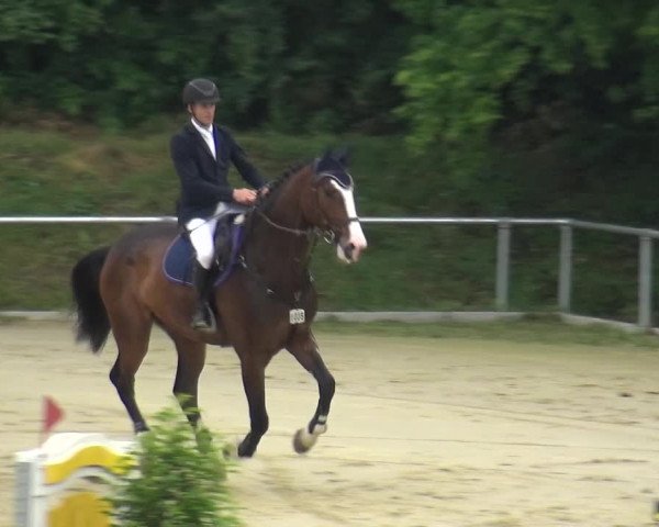 Reitturnier Ladenburg 2018
