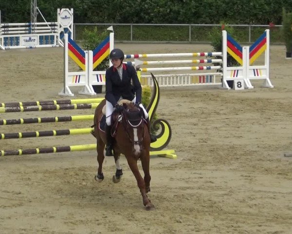 Reitturnier Ladenburg 2018