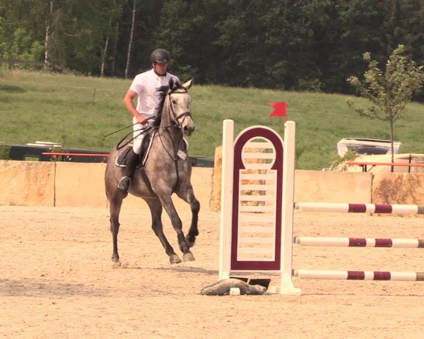 Reitturnier Oberfrauendorf 2018