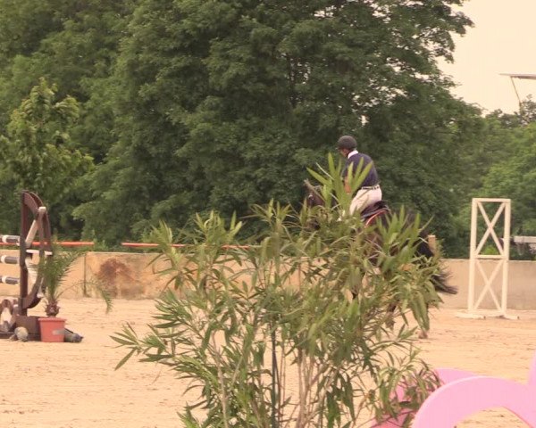 Reitturnier Oberfrauendorf 2018