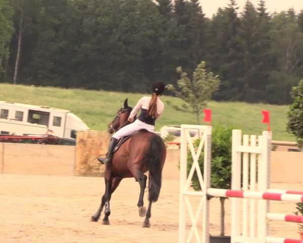 Reitturnier Oberfrauendorf 2018