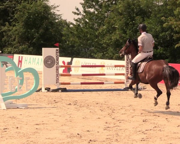 Reitturnier Oberfrauendorf 2018