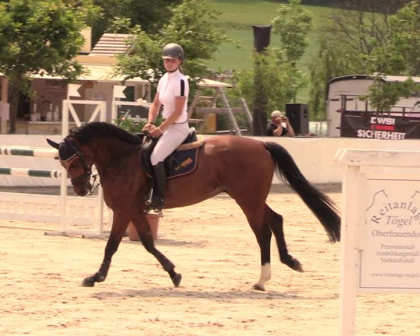 Reitturnier Oberfrauendorf 2018
