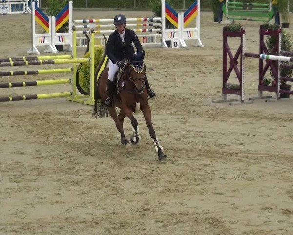 Reitturnier Ladenburg 2018