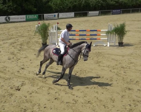 Reitturnier Ladenburg 2018