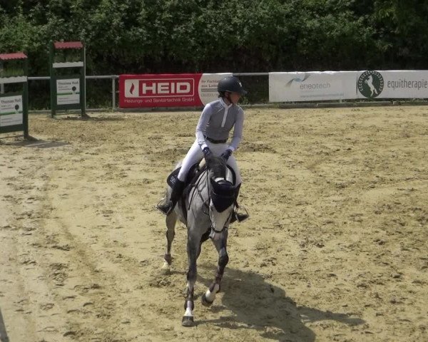 Reitturnier Ladenburg 2018