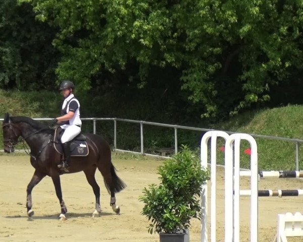 Reitturnier Ladenburg 2018