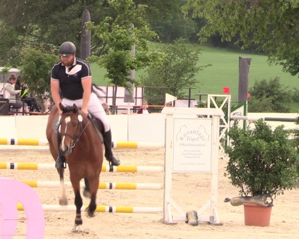 Reitturnier Oberfrauendorf 2018