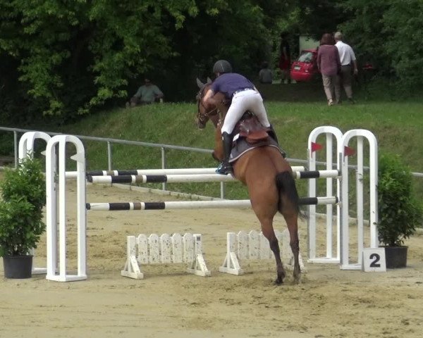 Reitturnier Ladenburg 2018