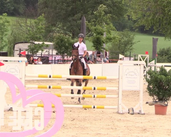 Reitturnier Oberfrauendorf 2018