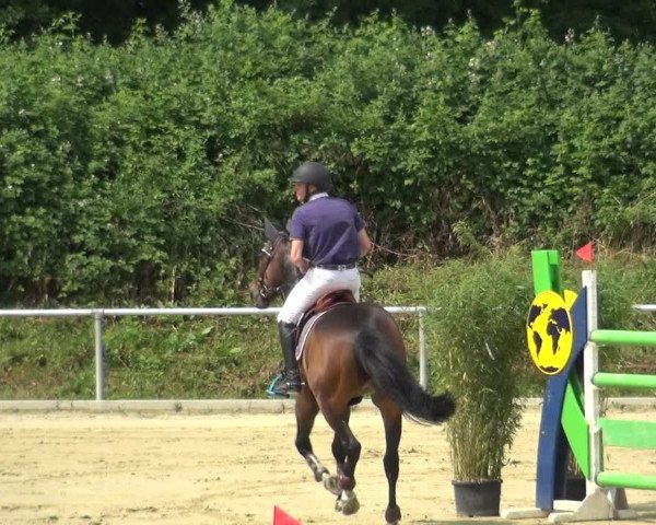 Reitturnier Ladenburg 2018