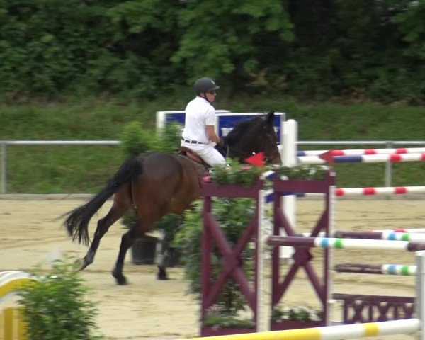 Reitturnier Ladenburg 2018