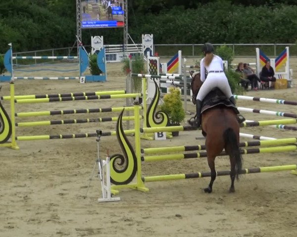 Reitturnier Ladenburg 2018