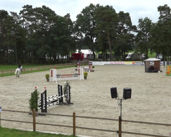 Reitturnier Westergellersen 2021