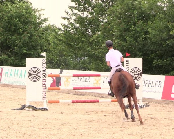 Reitturnier Oberfrauendorf 2018
