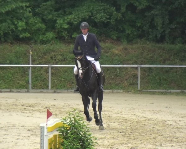 Reitturnier Ladenburg 2018