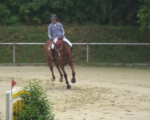 Reitturnier Ladenburg 2018