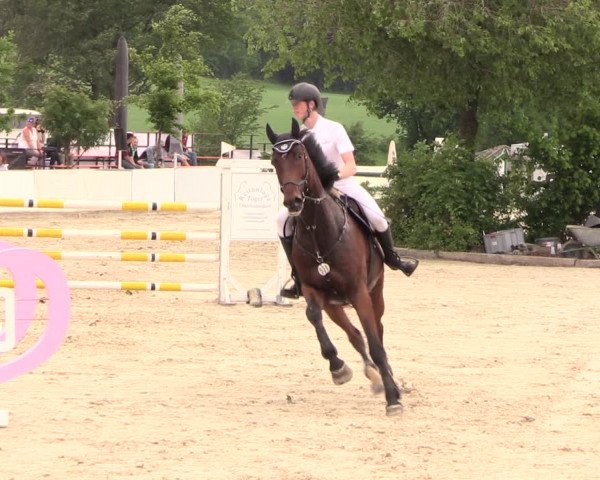 Reitturnier Oberfrauendorf 2018