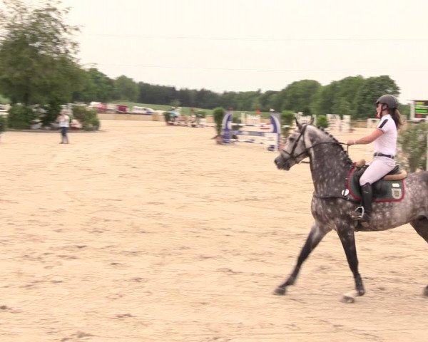 Reitturnier Oberfrauendorf 2018