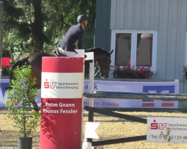 Reitturnier Bad Schussenried 2018
