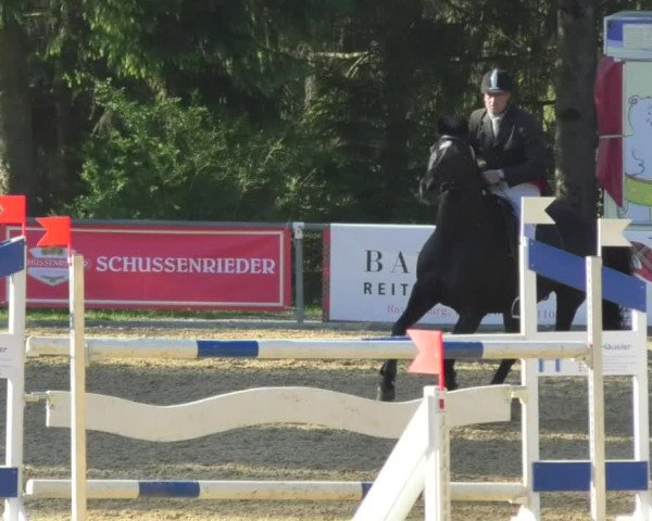 Reitturnier Bad Schussenried 2018