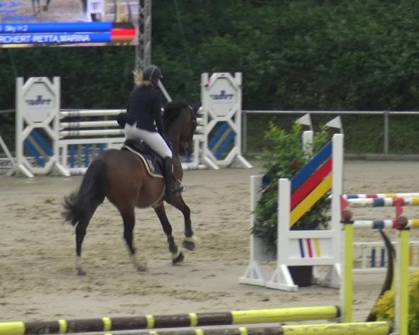 Reitturnier Ladenburg 2018