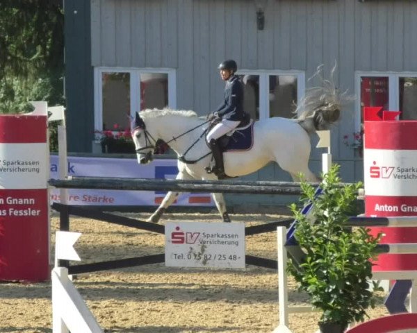 Reitturnier Bad Schussenried 2018