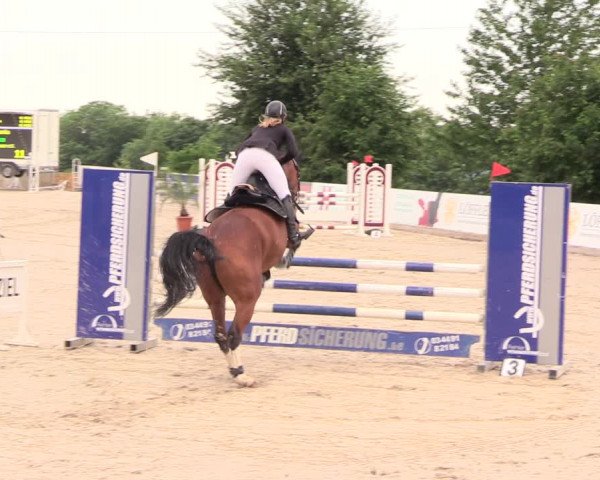 Reitturnier Oberfrauendorf 2018