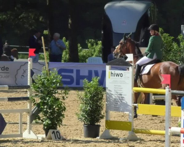 Reitturnier Bad Schussenried 2018