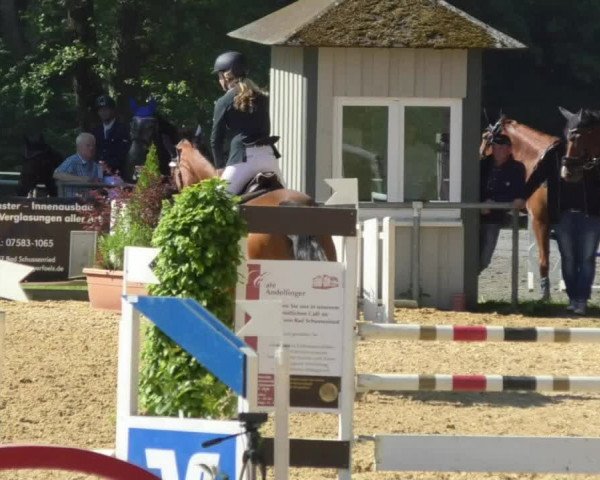 Reitturnier Bad Schussenried 2018