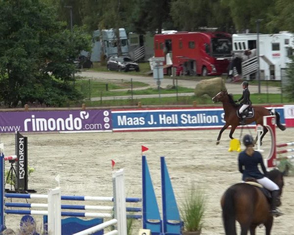 Reitturnier Westergellersen 2021