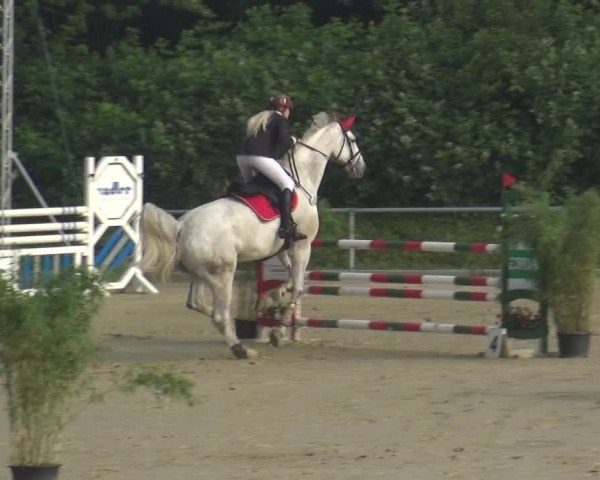 Reitturnier Ladenburg 2018