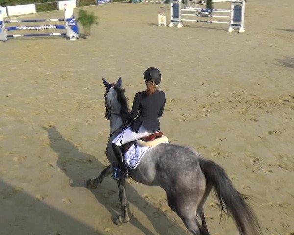 Reitturnier Ladenburg 2018