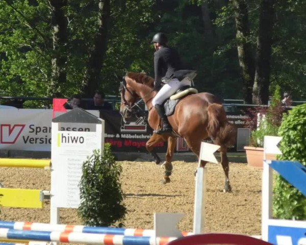Reitturnier Bad Schussenried 2018