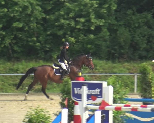 Reitturnier Ladenburg 2018