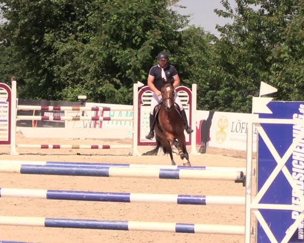 Reitturnier Oberfrauendorf 2018