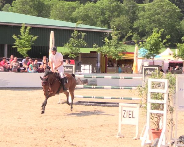 Reitturnier Oberfrauendorf 2018