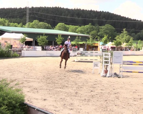 Reitturnier Oberfrauendorf 2018