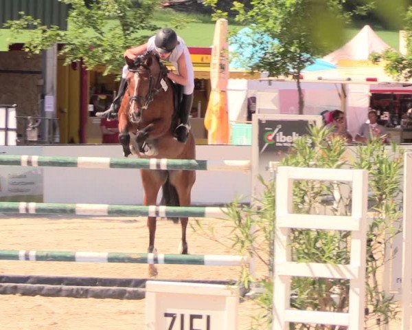 Reitturnier Oberfrauendorf 2018