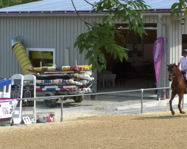 Reitturnier Bad Schussenried 2018