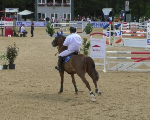Reitturnier Bad Schussenried 2018