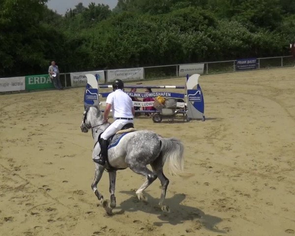 Reitturnier Ladenburg 2018
