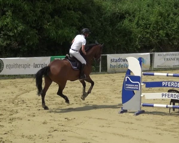 Reitturnier Ladenburg 2018