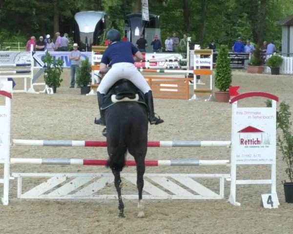 Reitturnier Bad Schussenried 2018