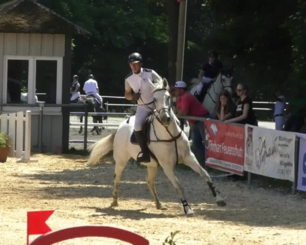 Reitturnier Bad Schussenried 2018